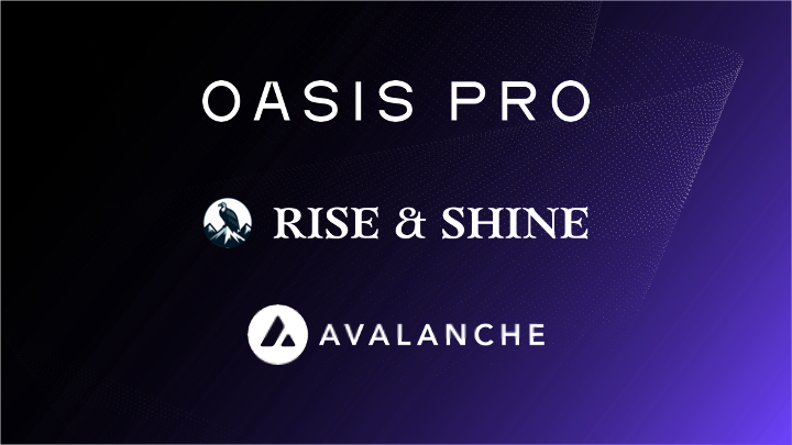 Oasis Pro Partners with R&S Partners to Launch R&S Avalanche Infrastructure Fund